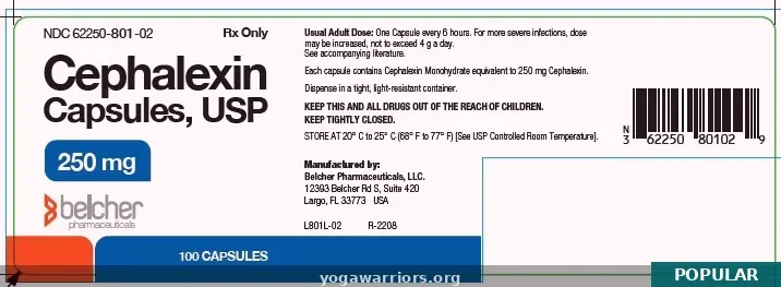 Cephalexin